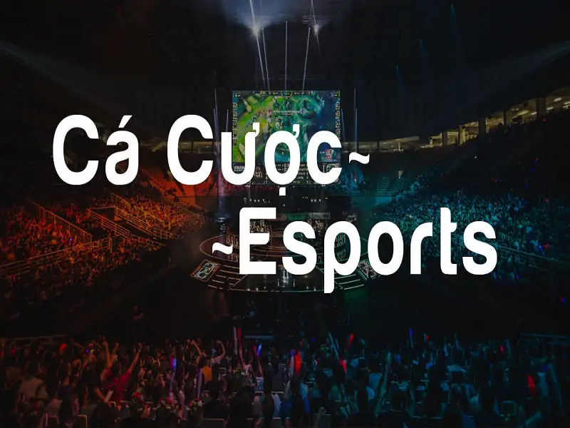 Đôi nét sơ lược về game thể thao điện tử Esports new88